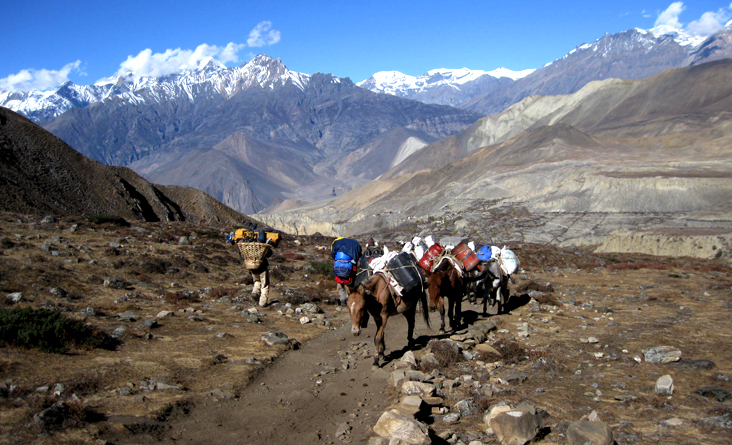 Muktinath Jomsom Trek